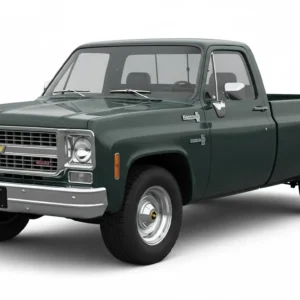 1974 Chevrolet C-10 Cheyenne for sale